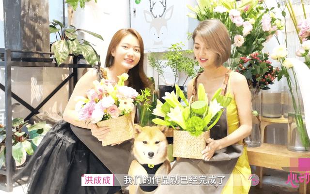 铲子骑士
